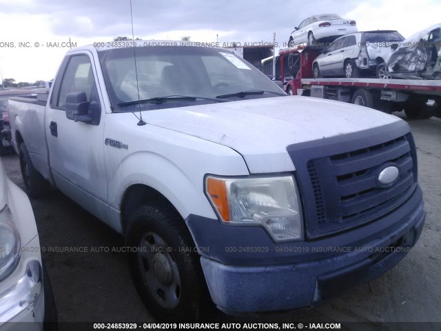 1FTRF12869KB41980 - 2009 FORD F150 Ağ foto 1