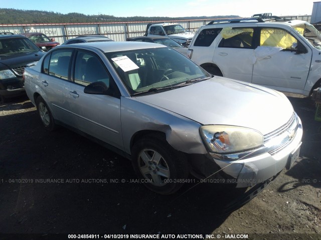 1G1ZT52835F314642 - 2005 CHEVROLET MALIBU LS SILVER photo 1