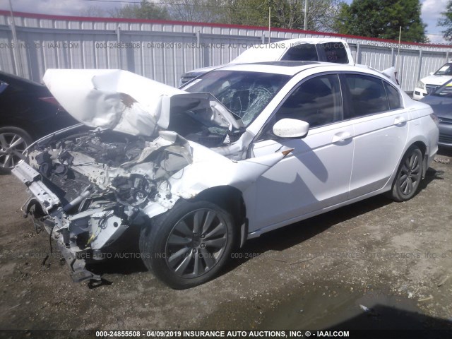 1HGCP2F88BA086920 - 2011 HONDA ACCORD EXL WHITE photo 2