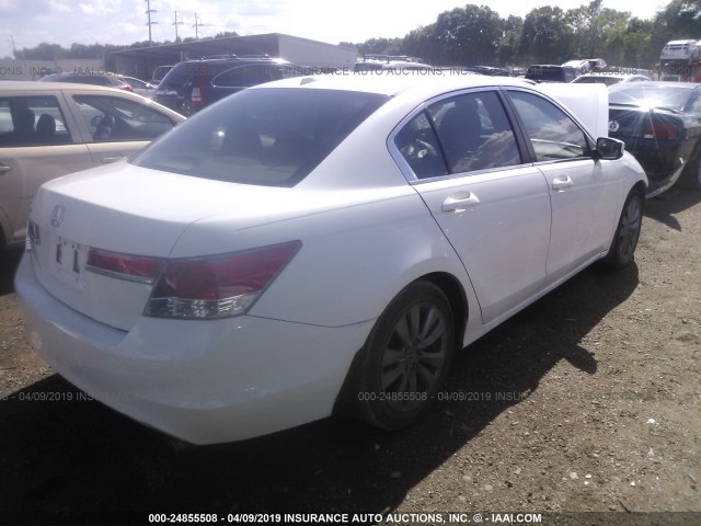 1HGCP2F88BA086920 - 2011 HONDA ACCORD EXL WHITE photo 4