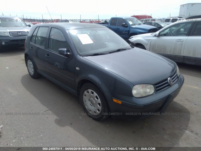 9BWFL61J144001321 - 2004 VOLKSWAGEN GOLF GL GRAY photo 1