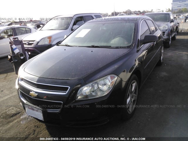 1G1ZB5EB4AF314413 - 2010 CHEVROLET MALIBU LS BLACK photo 2