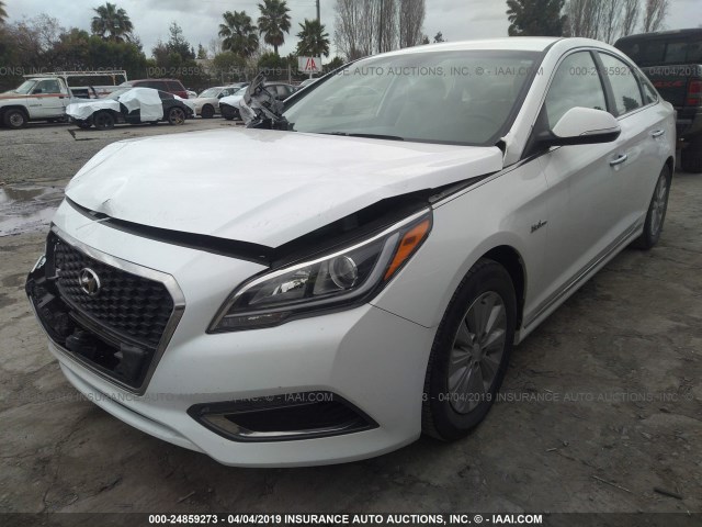 KMHE24L11HA053979 - 2017 HYUNDAI SONATA HYBRID/SE WHITE photo 2