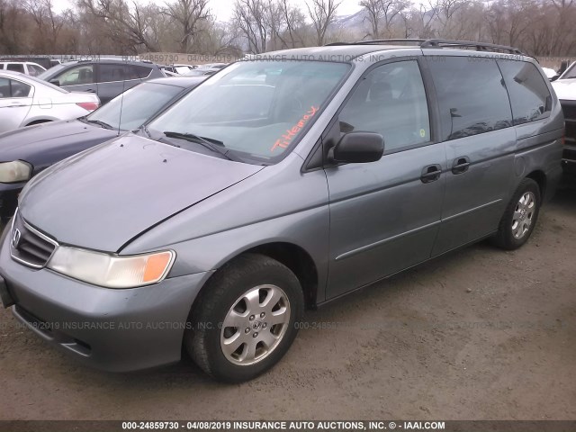 5FNRL18532B027542 - 2002 HONDA ODYSSEY LX GRAY photo 2