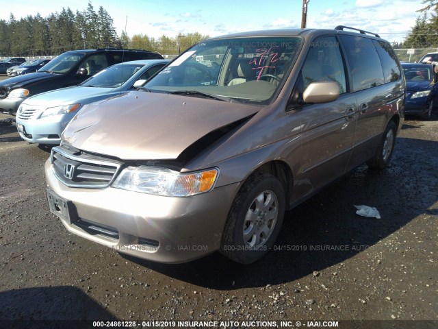 5FNRL18703B129741 - 2003 HONDA ODYSSEY EXL GOLD photo 2