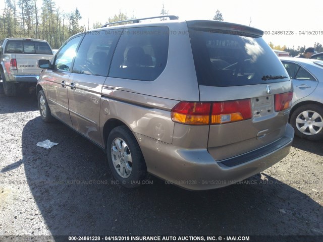 5FNRL18703B129741 - 2003 HONDA ODYSSEY EXL GOLD photo 3