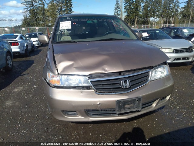 5FNRL18703B129741 - 2003 HONDA ODYSSEY EXL GOLD photo 6