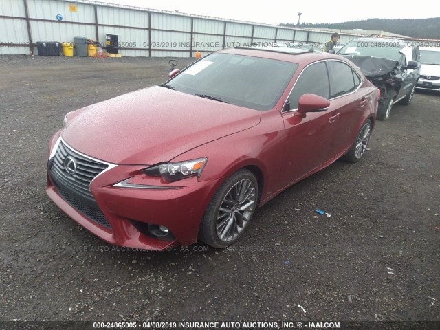 JTHBF1D29F5074942 - 2015 LEXUS IS 250 RED photo 2