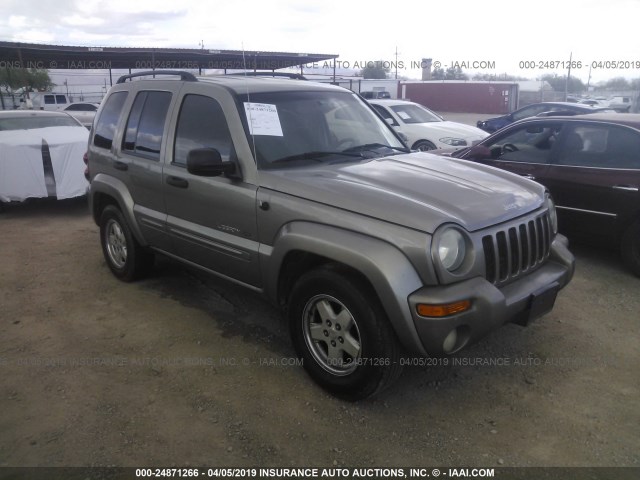 1J4GK58K83W725501 - 2003 JEEP LIBERTY LIMITED GOLD photo 1