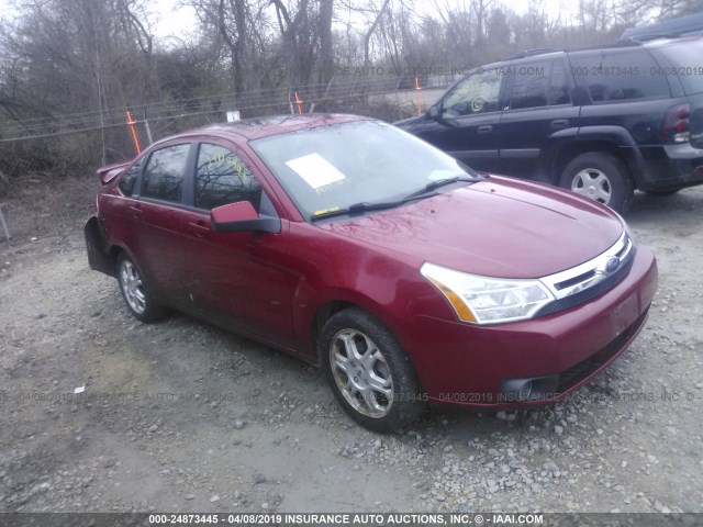 1FAHP36N39W156360 - 2009 FORD FOCUS SES RED photo 1