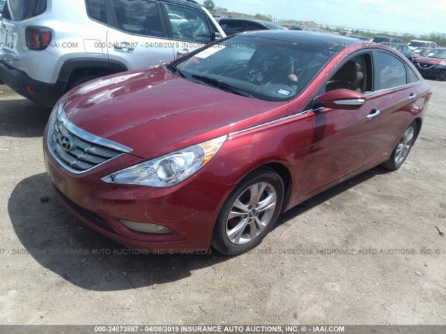 5NPEC4AC1DH568084 - 2013 HYUNDAI SONATA SE/LIMITED RED photo 2