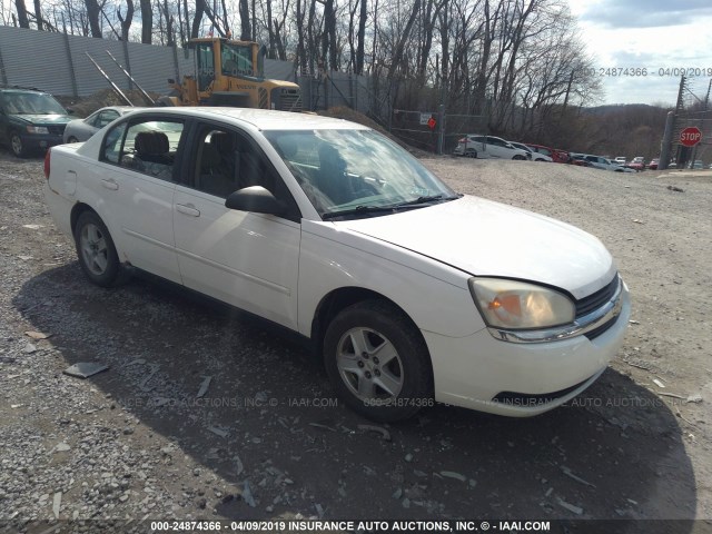 1G1ZT52845F253978 - 2005 CHEVROLET MALIBU LS WHITE photo 1