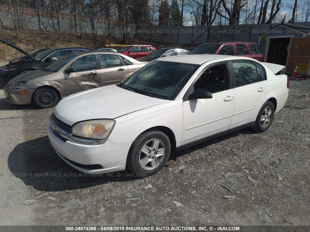 1G1ZT52845F253978 - 2005 CHEVROLET MALIBU LS WHITE photo 2