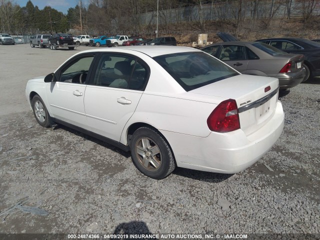 1G1ZT52845F253978 - 2005 CHEVROLET MALIBU LS WHITE photo 3