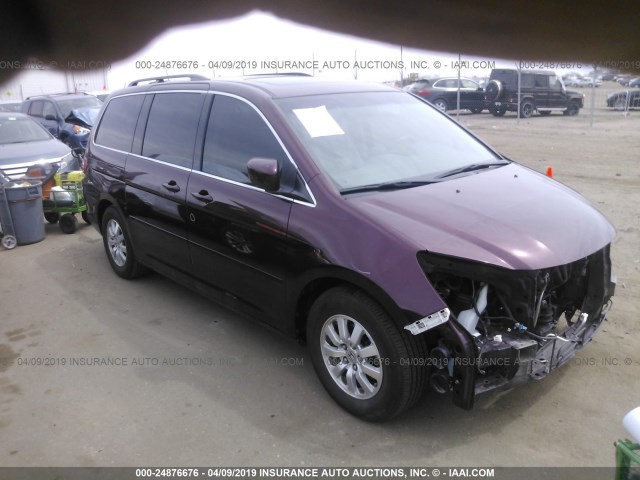 5FNRL387X8B045185 - 2008 HONDA ODYSSEY EXL PURPLE photo 1