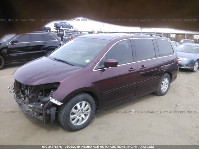 5FNRL387X8B045185 - 2008 HONDA ODYSSEY EXL PURPLE photo 2