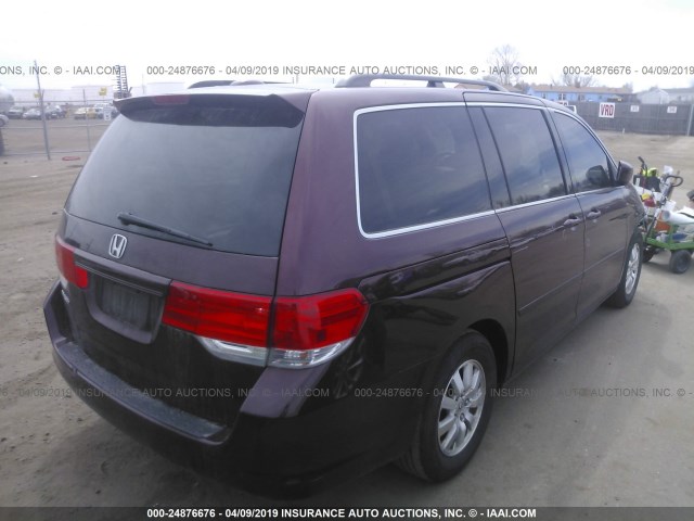 5FNRL387X8B045185 - 2008 HONDA ODYSSEY EXL PURPLE photo 4