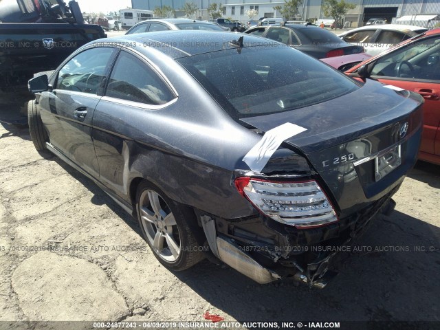 WDDGJ4HB1EG294716 - 2014 MERCEDES-BENZ C 250 GRAY photo 3