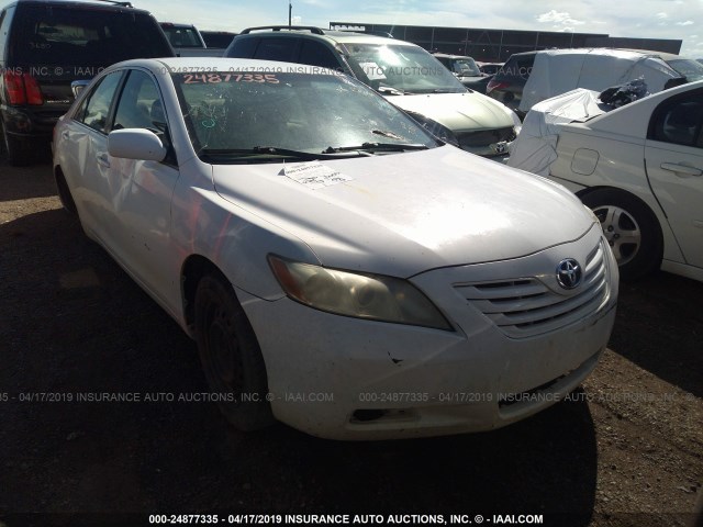 4T1BE46K49U795002 - 2009 TOYOTA CAMRY SE/LE/XLE WHITE photo 1