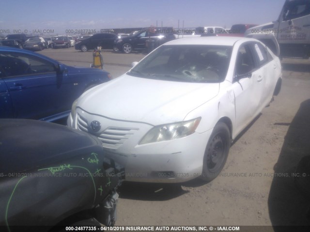 4T1BE46K49U795002 - 2009 TOYOTA CAMRY SE/LE/XLE WHITE photo 2