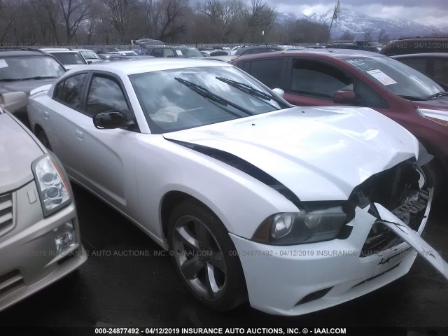 2C3CDXAT7DH693352 - 2013 DODGE CHARGER POLICE WHITE photo 1