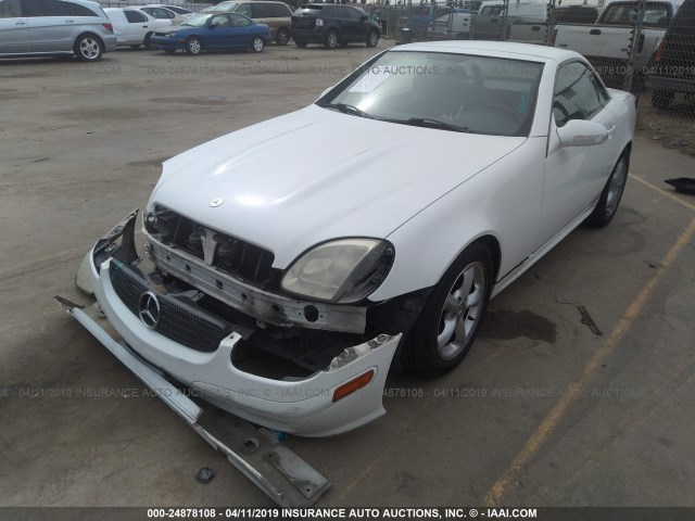 WDBKK65F61F190984 - 2001 MERCEDES-BENZ SLK 320 WHITE photo 2