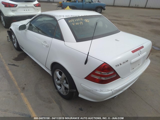 WDBKK65F61F190984 - 2001 MERCEDES-BENZ SLK 320 WHITE photo 3