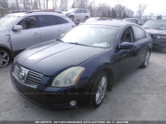 1N4BA41E94C892573 - 2004 NISSAN MAXIMA SE/SL Dark Blue photo 2