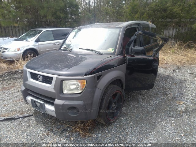 5J6YH18503L012731 - 2003 HONDA ELEMENT EX BLACK photo 6