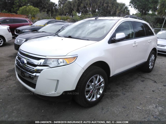 2FMDK3JC0DBC16436 - 2013 FORD EDGE SEL WHITE photo 2