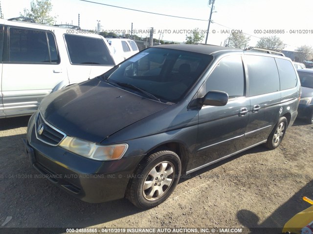 5FNRL189X4B024899 - 2004 HONDA ODYSSEY EXL GRAY photo 2