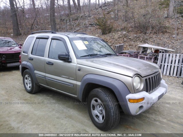 1J4GL48K93W589516 - 2003 JEEP LIBERTY SPORT/FREEDOM Pewter photo 1