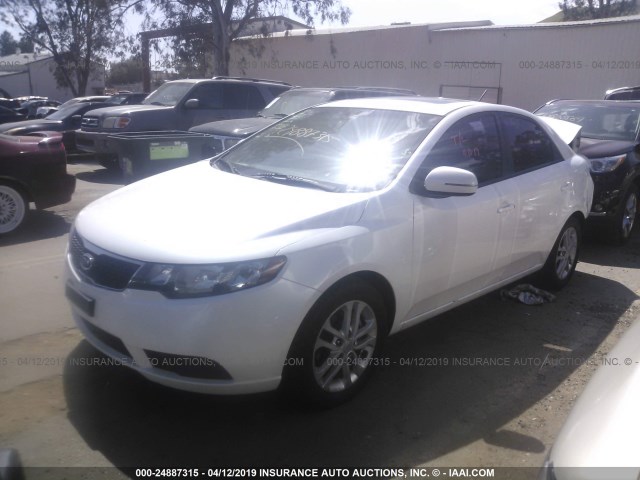 KNAFU4A25C5632664 - 2012 KIA FORTE EX WHITE photo 2