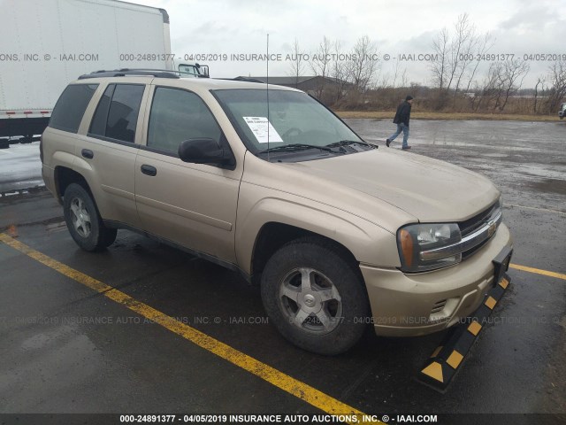 1GNDT13S362114848 - 2006 CHEVROLET TRAILBLAZER LS/LT TAN photo 1