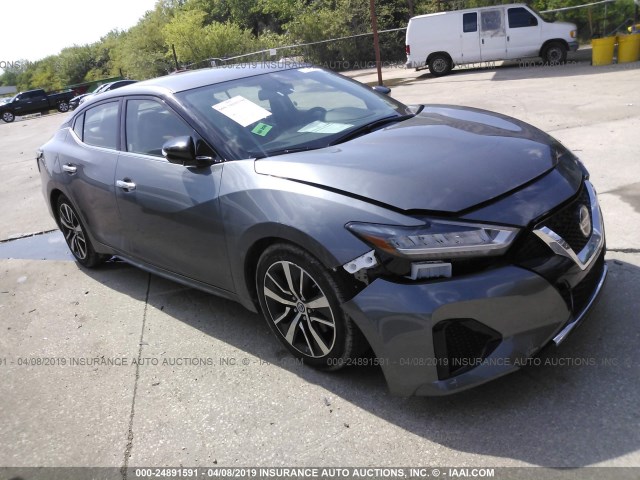 1N4AA6AV4KC360927 - 2019 NISSAN MAXIMA S/SL/SR/SV/PLATINUM GRAY photo 1