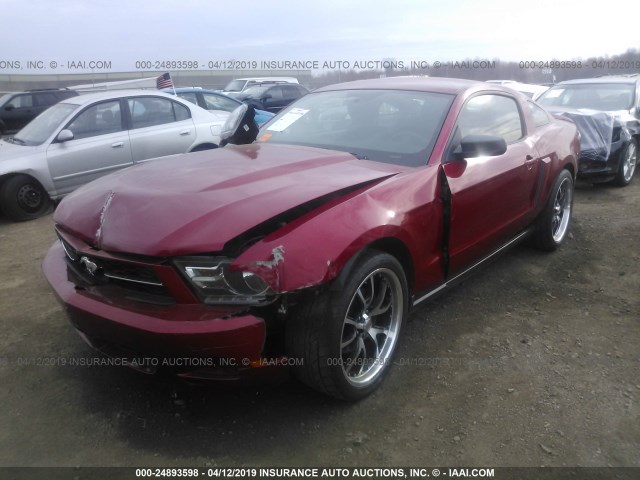 1ZVBP8AM7C5214265 - 2012 FORD MUSTANG MAROON photo 2