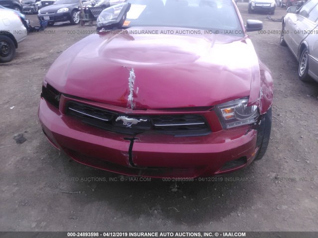 1ZVBP8AM7C5214265 - 2012 FORD MUSTANG MAROON photo 6