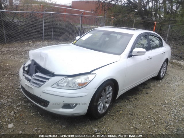 KMHGC46E29U036774 - 2009 HYUNDAI GENESIS 3.8L WHITE photo 2