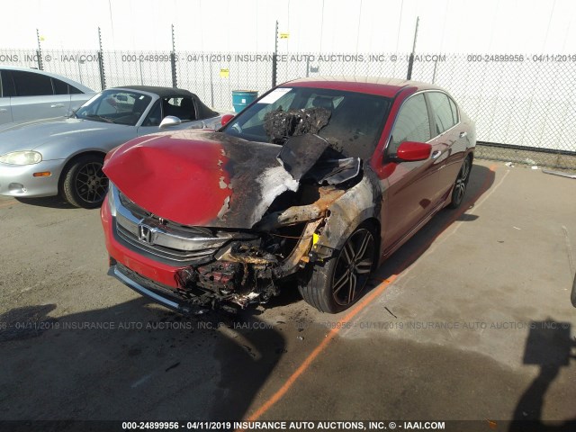 1HGCR2F58GA150882 - 2016 HONDA ACCORD SPORT RED photo 2