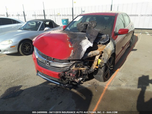 1HGCR2F58GA150882 - 2016 HONDA ACCORD SPORT RED photo 6