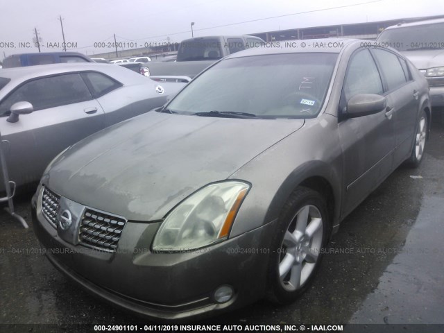 1N4BA41E75C844927 - 2005 NISSAN MAXIMA SE/SL BROWN photo 2