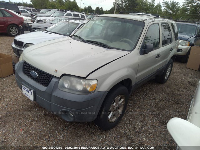 1FMYU03185KB35276 - 2005 FORD ESCAPE XLT BEIGE photo 2