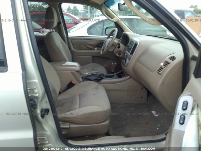 1FMYU03185KB35276 - 2005 FORD ESCAPE XLT BEIGE photo 5