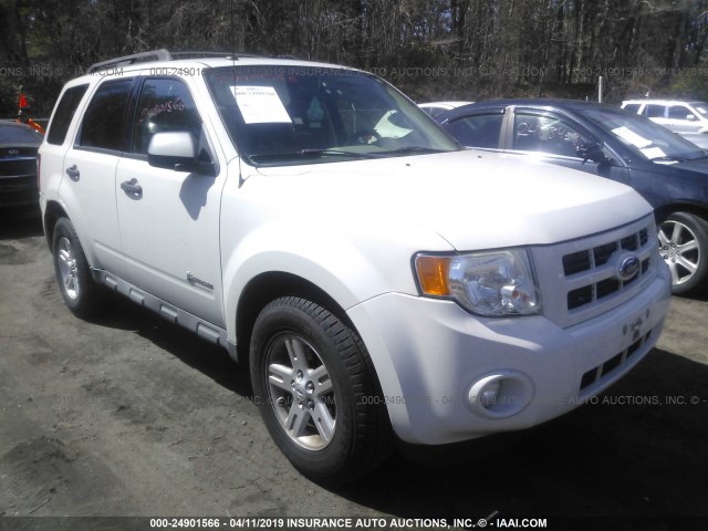 1FMCU59399KC41581 - 2009 FORD ESCAPE HYBRID WHITE photo 1