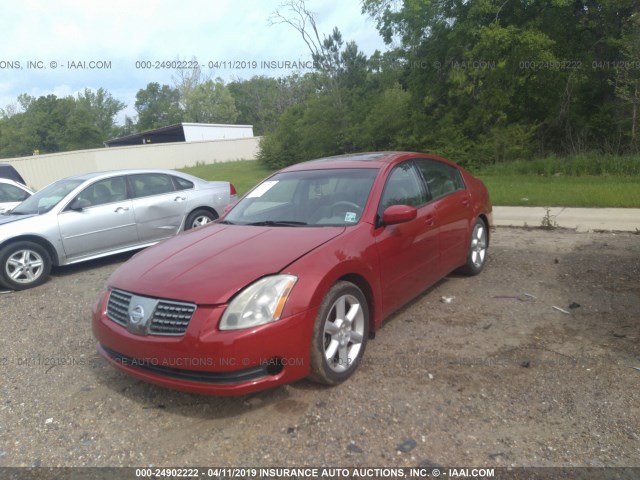 1N4BA41E65C839010 - 2005 NISSAN MAXIMA SE/SL RED photo 2