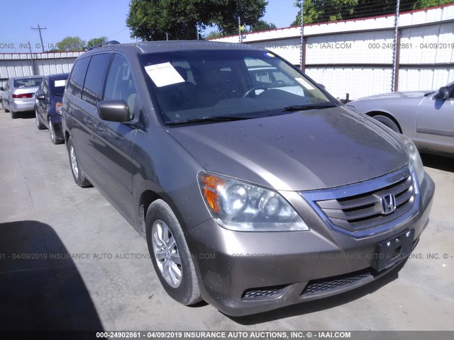 5FNRL38728B014383 - 2008 HONDA ODYSSEY EXL TAN photo 1