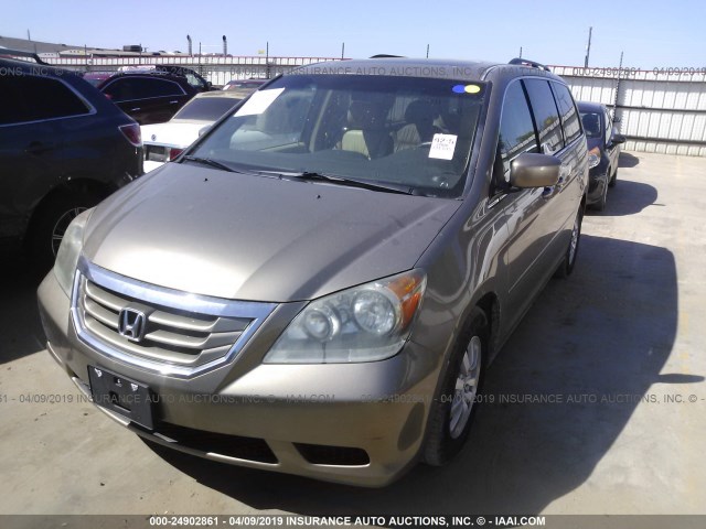 5FNRL38728B014383 - 2008 HONDA ODYSSEY EXL TAN photo 2