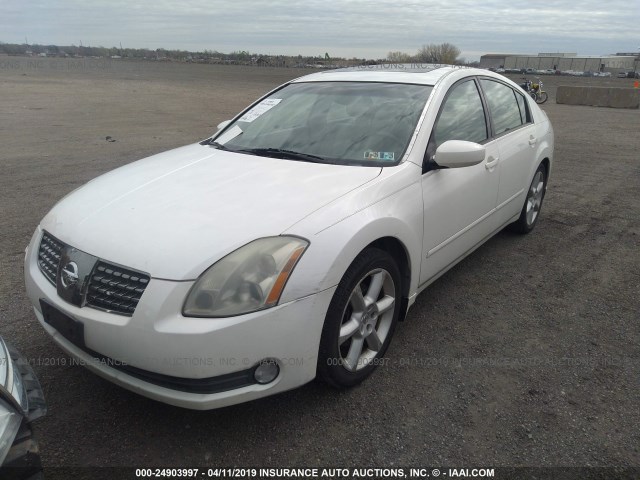 1N4BA41E35C860428 - 2005 NISSAN MAXIMA SE/SL WHITE photo 2