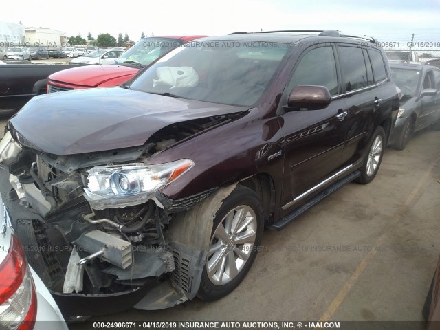 JTEDC3EH0C2005356 - 2012 TOYOTA HIGHLANDER HYBRID LIMITED RED photo 2