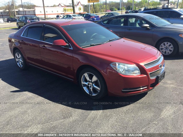 1G1ZC5E10BF237982 - 2011 CHEVROLET MALIBU 1LT RED photo 1